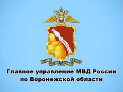 Почти на 2 млн обманул пенсионеров студент из Панинского района
