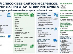Жителям Воронежской области показали расширенный «белый список»