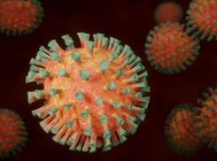 Рост суточной заболеваемости Covid-19 отмечен второй день подряд в Воронежской области