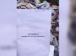 На свалке в Панинском районе нашли документы с личными данными пациентов РБ