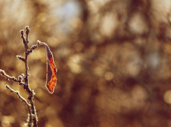 Синоптики рассказали о погоде на последней осенней неделе