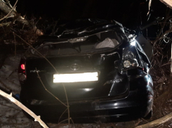 В Панинском районе Toyota вылетела в кювет и врезалась в дерево
