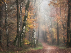 В Воронежской области за неделю пропали три ребёнка