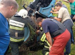 В аннинском селе трактор съехал в кювет и перевернулся