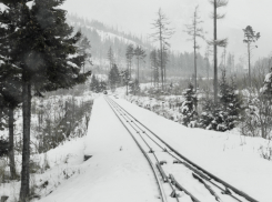 В Бобровском районе пассажирский поезд врезался в автомобиль