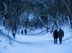Январь 5 раз установил температурный рекорд в Воронежской области