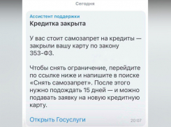 Воронежцев предупредили о новой схеме мошенничества под предлогом самозапрета на кредиты