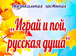 Жителей Таловского района приглашают посетить музыкальную гостиную