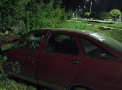 В Бобровском районе пьяная женщина врезалась в дерево