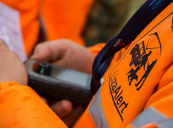 В Воронежской области нашли тела семерых пропавших без вести