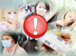 В Воронежскую область привезли вакцины против гриппа