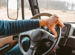 В Воронежской области с начала года в ДТП с пешеходами погибли 9 человек