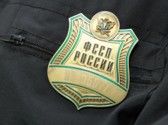 Воронежские приставы в 2022 году завели 3,3 тыс. производств за езду в пьяном виде