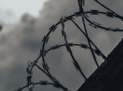 В Воронежской области вышел на свободу педофил-рецидивист