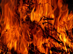 В Воронежской области спасатели подготовились к пожароопасному сезону