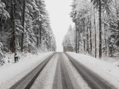 Жителей Воронежской области предупредили о потеплении с сильным снегопадом