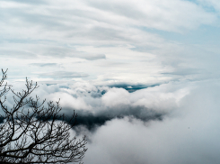 Ла-Нинья принесёт в Воронежскую область настоящую зиму
