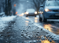 Воронежским родителям и школьникам напомнили о дорожной безопасности осенью