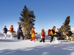 Школьникам Воронежской области напомнили о датах зимних каникул