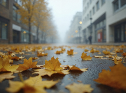 В Воронежской области всё никак не наступит климатическая осень