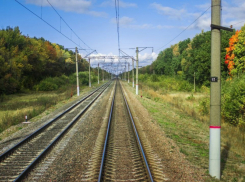 В Воронежской области отремонтируют пять перегонов на железной дороге