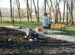 В селе Казанка Таловского района высадили цветы у мемориала землякам-фронтовикам