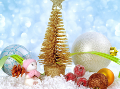 В Панинском районе проходит выставка «Зима в чемодане»