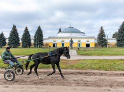 В Бобровском районе отремонтировали подъезд к Хреновскому конезаводу