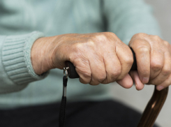 В Воронежской области до 2030 года утвердили программу «Активное долголетие»