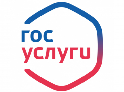 Жители Воронежской области могут обратиться в госучреждение через виджеты в соцсети