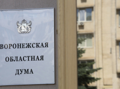 В Воронежской области в первый день проголосовали более 25%