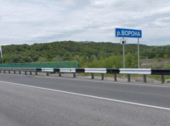В Воронежской области ограничили движение по мосту через реку Ворона