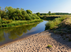 В Воронежской области Роспотребнадзор забраковал ряд пляжей