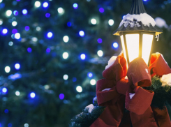 Родителям из Воронежской области напомнили о правилах безопасности на новогодних каникулах