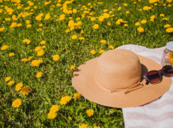 На последней неделе мая в Воронежскую область придёт летняя жара