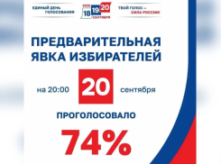 В Воронежской области завершились выборы депутатов Госдумы IX созыва