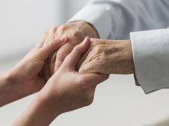 В 2025 году в Воронежской области волонтеры нашли погибшими 75 пропавших людей