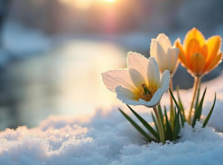 Синоптики рассказали о мартовской погоде в Воронежской области