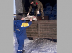 Жители Панинского района передали гумпомощь бойцам СВО