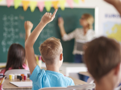 В Воронежской области появится комиссия по защите чести и достоинства педагогов