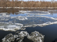 Жители Воронежской области показали на фото весенний ледоход на Дону