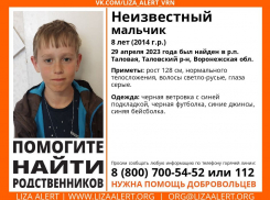 Мальчика без адреса нашли в поселке Таловая Воронежской области 