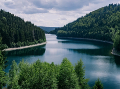 В Воронежской области затопило 5 низководных мостов