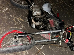 В Воронежской области 11 детей пострадали в ДТП за неделю