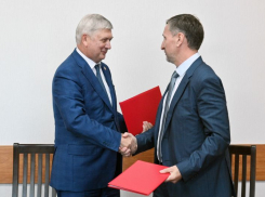 В Панинском районе появится свинокомплекс