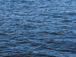 В 2025 году в водоёмах Воронежской области утонули 75 человек