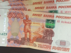 Предпринимательница из Богучарского района похитила из бюджета почти 350 тыс. рублей