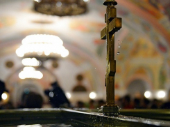 Крещенское омовение в Воронежской области совершили 11,8 тыс. человек