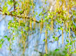 В выходные в Воронежской области снова потеплеет