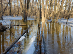 В Воронежской области не будет половодья